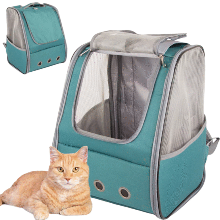 backpack1