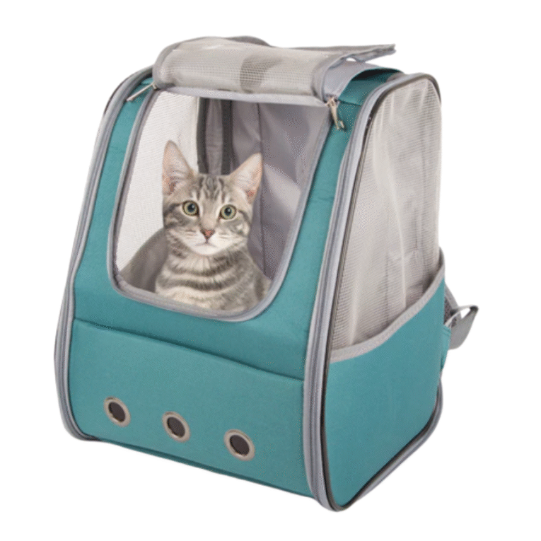 backpack2