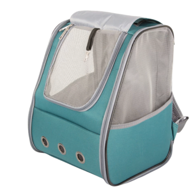 backpack5