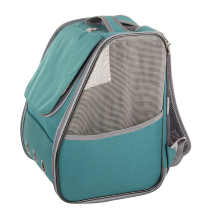 backpack6