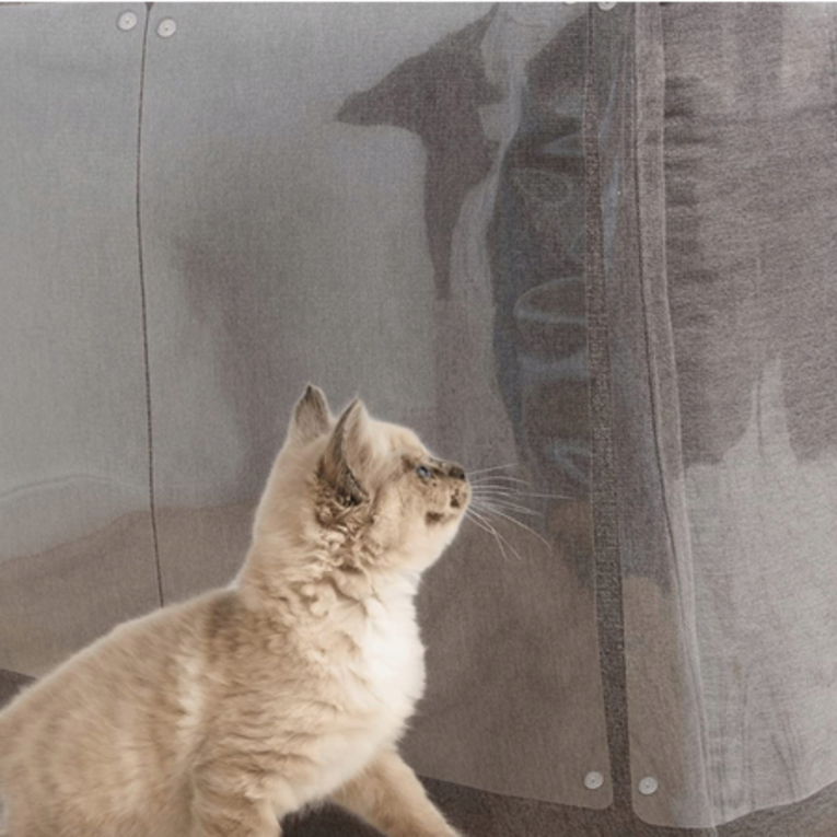 folieprotectoareintextnew