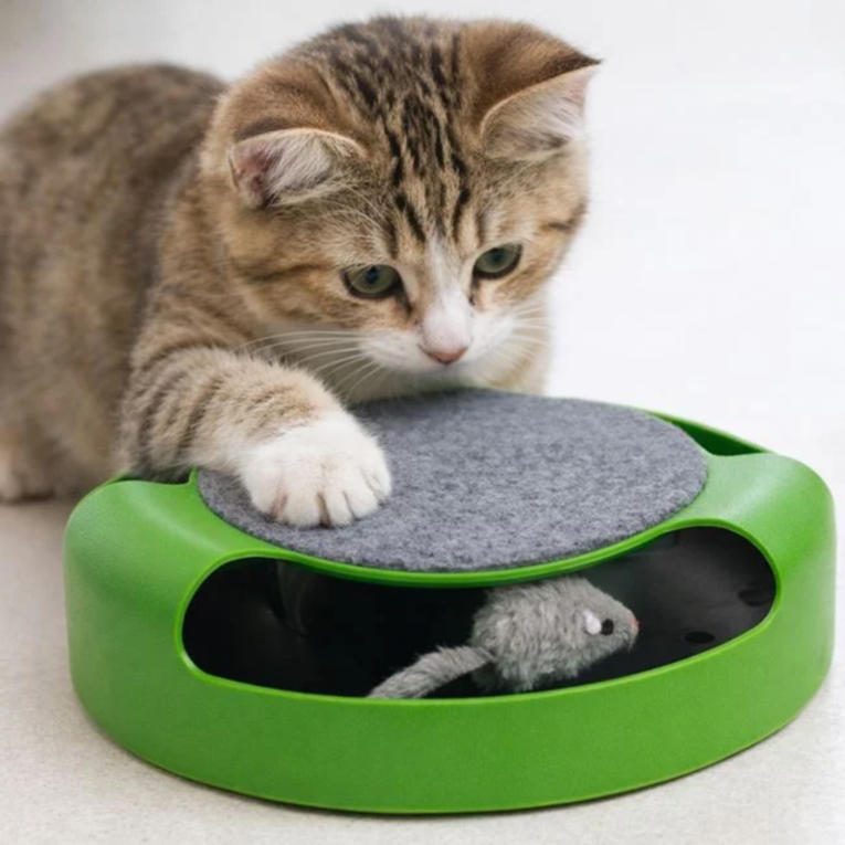 jucariepisiciinteractiva3