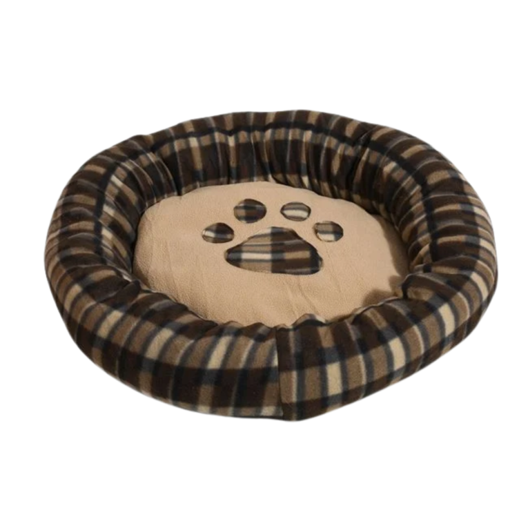 culcusmarocainipisici1